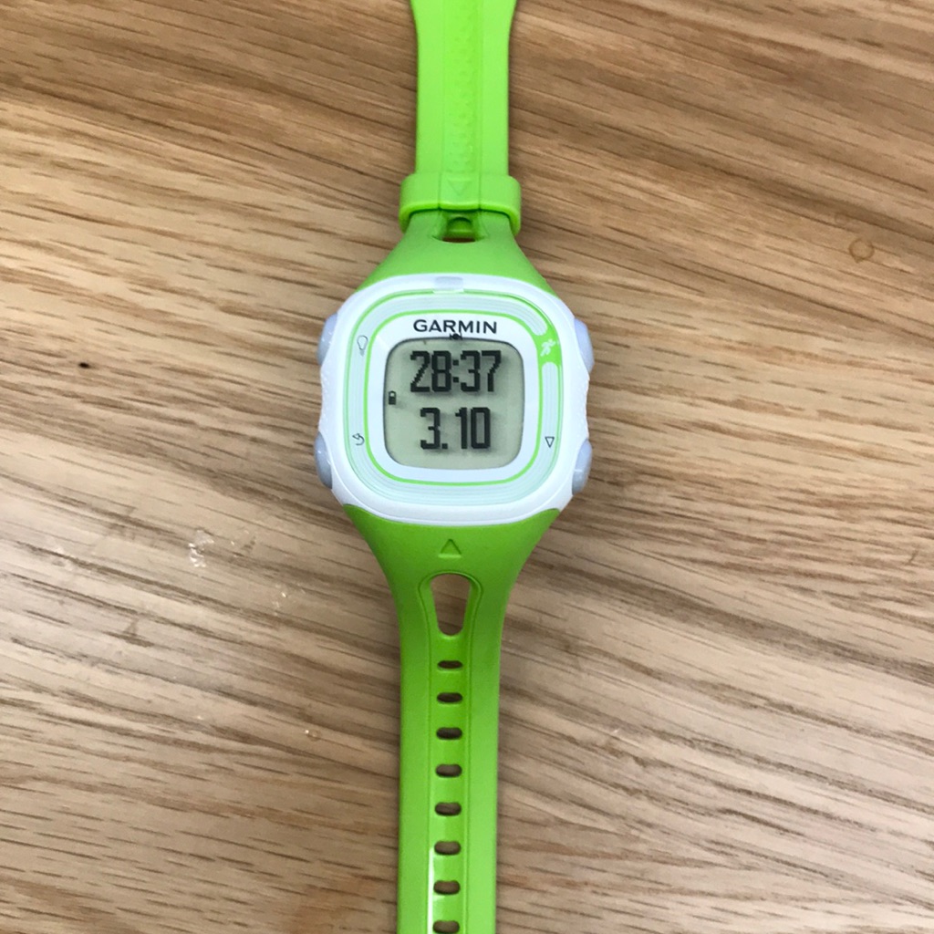 Garmin Forerunner 10 Gps Watch